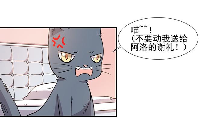 《双喵图腾》第028话 第18页