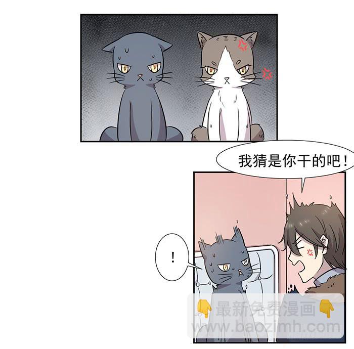 《双喵图腾》第028话 第21页
