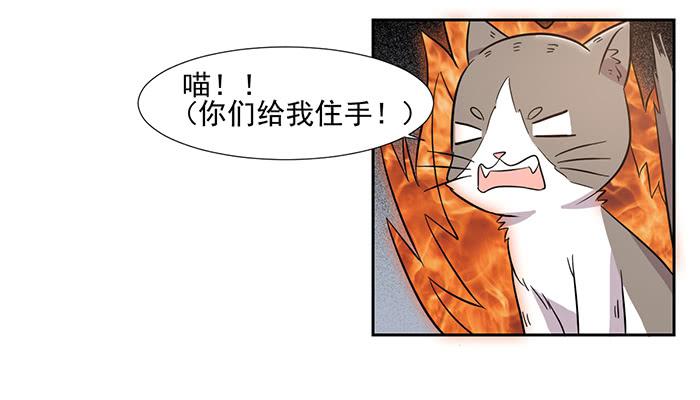 《双喵图腾》第028话 第25页
