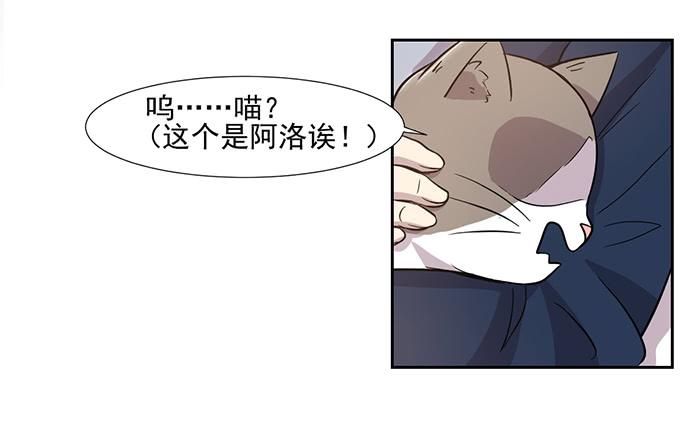 《双喵图腾》第028话 第29页