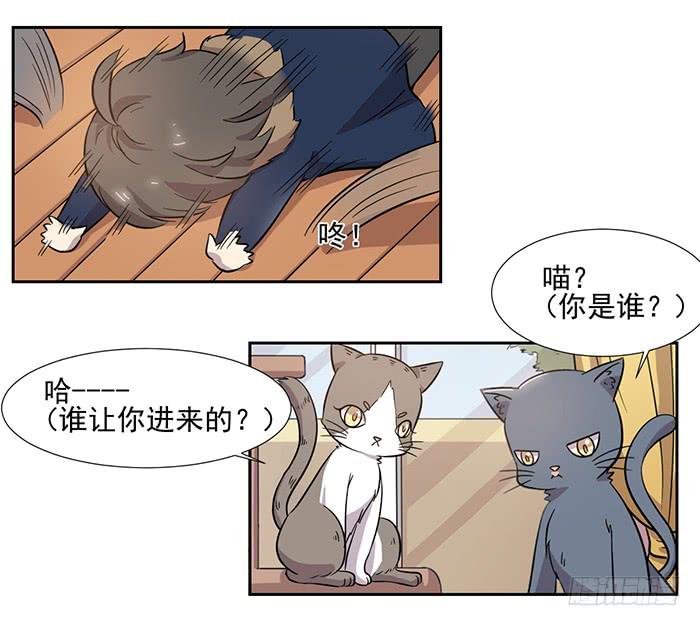 《双喵图腾》第028话 第8页