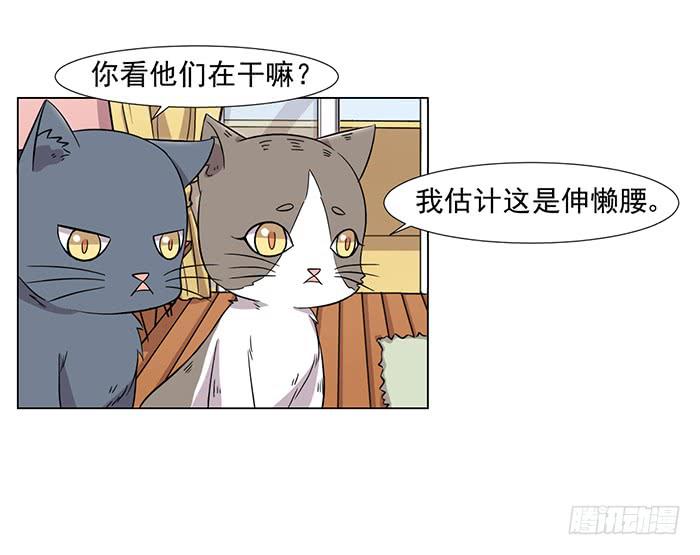 《双喵图腾》第031话 第10页