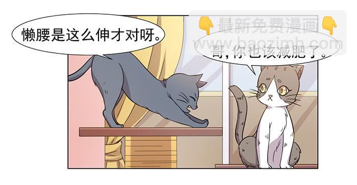 《双喵图腾》第031话 第11页