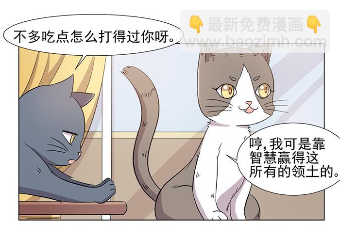 《双喵图腾》第031话 第14页