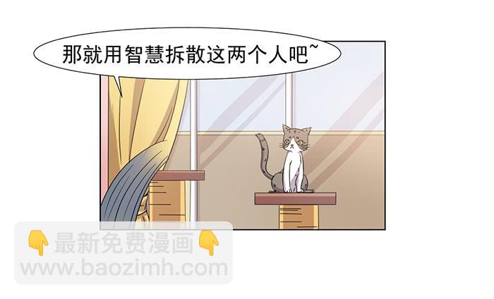 《双喵图腾》第031话 第15页