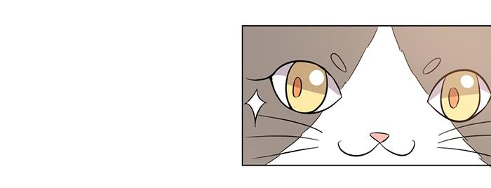 《双喵图腾》第031话 第21页