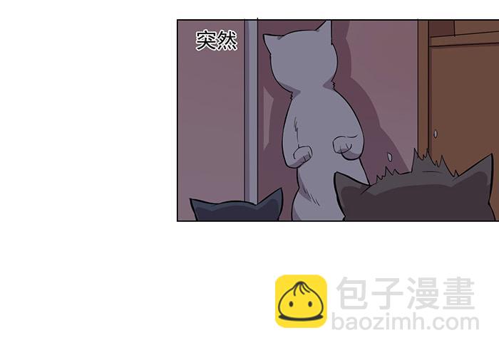 《双喵图腾》第033话 第12页