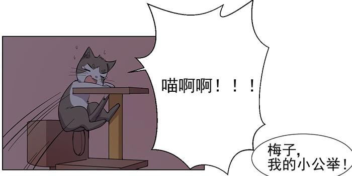 《双喵图腾》第033话 第13页