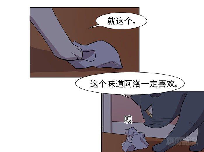 《双喵图腾》第033话 第18页