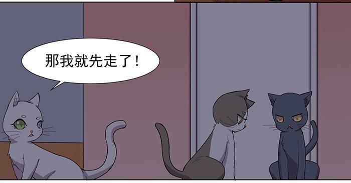《双喵图腾》第033话 第19页