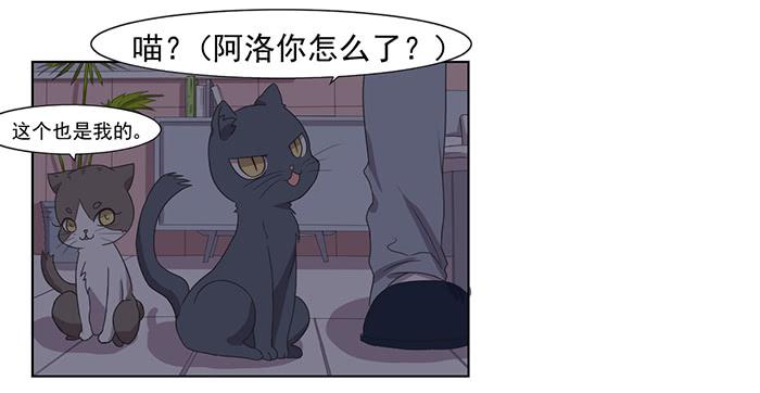 《双喵图腾》第033话 第35页