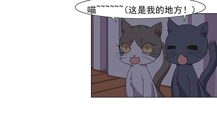 《双喵图腾》第033话 第39页