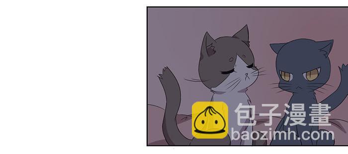 《双喵图腾》第033话 第46页