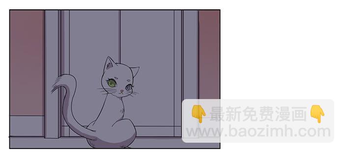《双喵图腾》第033话 第4页