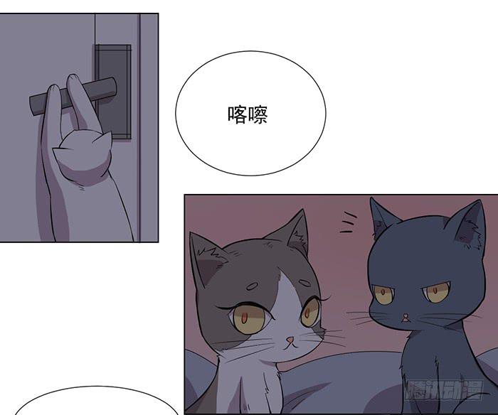 《双喵图腾》第033话 第5页