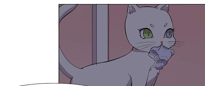 《双喵图腾》第033话 第8页