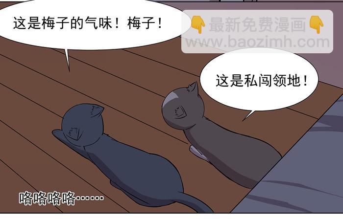 《双喵图腾》第033话 第9页