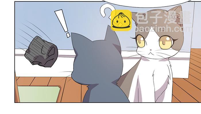 《双喵图腾》第034话 第15页