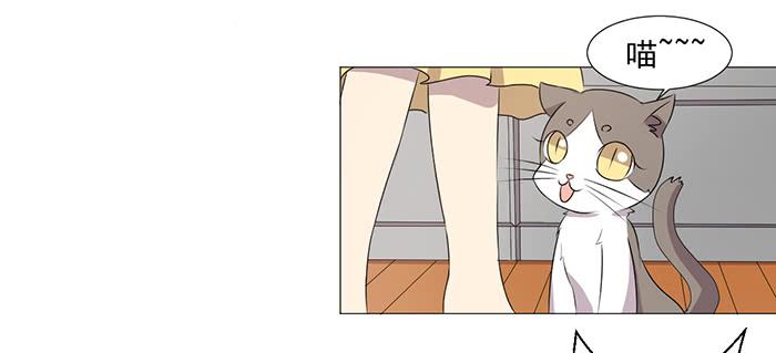 《双喵图腾》第035话 第19页