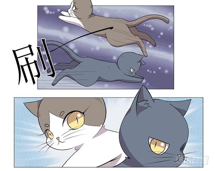 《双喵图腾》第035话 第3页