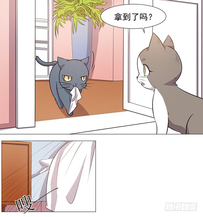 《双喵图腾》第035话 第5页