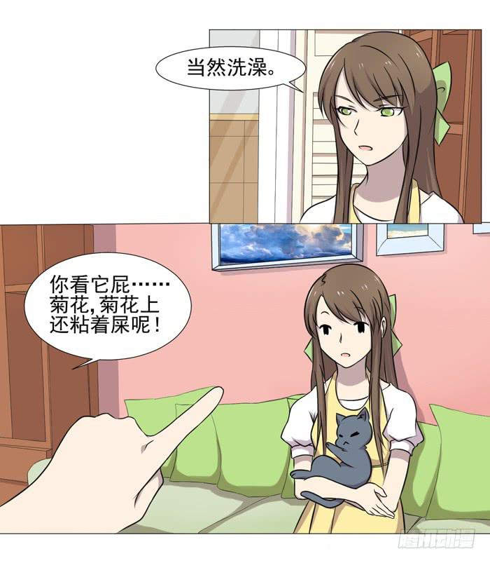 《双喵图腾》第036话 第17页