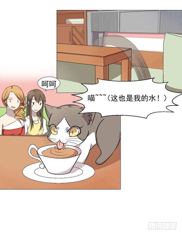 《双喵图腾》第036话 第22页