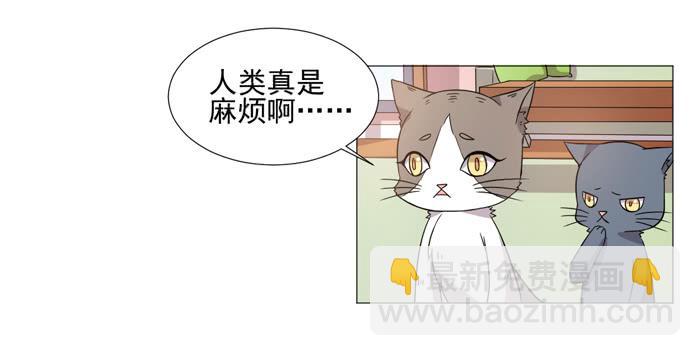 《双喵图腾》第036话 第37页