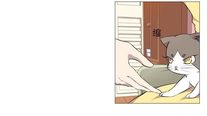 《双喵图腾》第036话 第5页