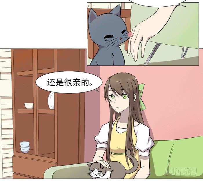 《双喵图腾》第036话 第8页