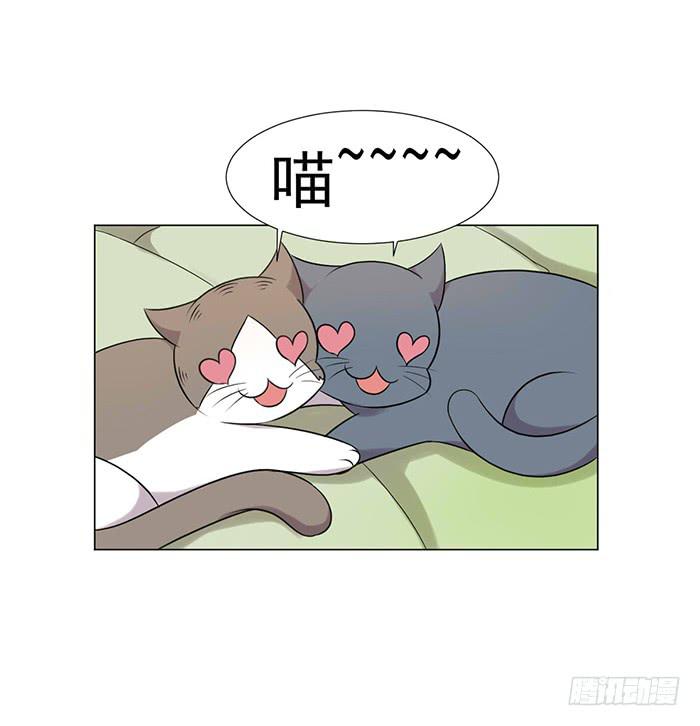 《双喵图腾》第039话 第18页