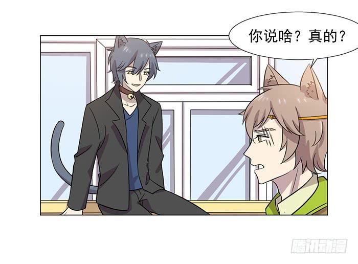 《双喵图腾》第039话 第25页