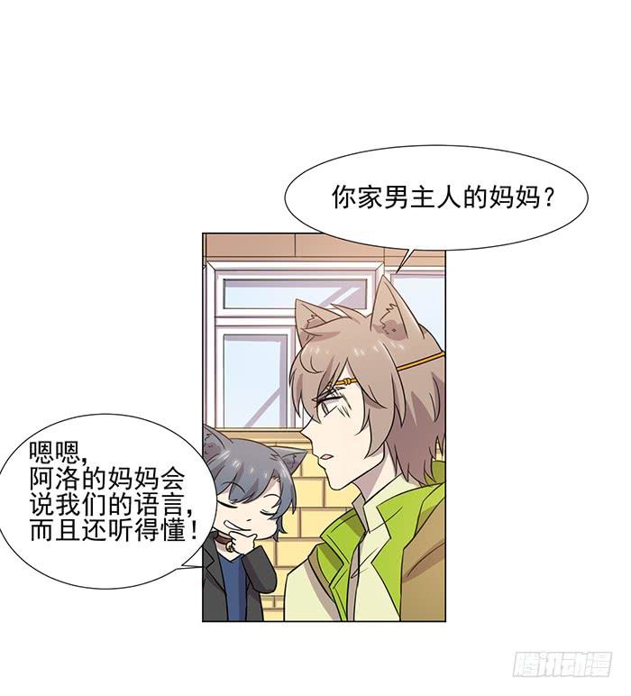 《双喵图腾》第039话 第29页