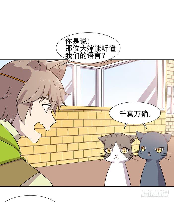 《双喵图腾》第039话 第36页