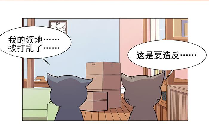《双喵图腾》第039话 第43页