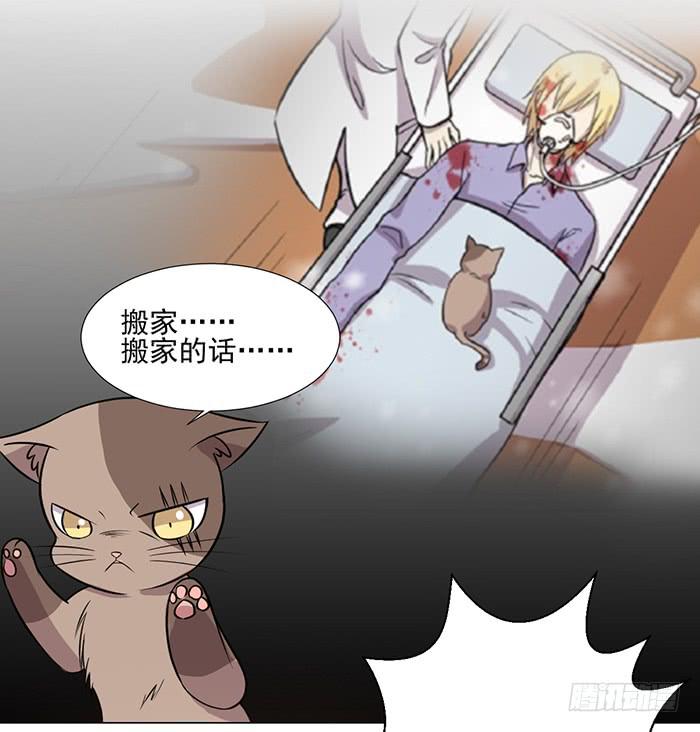 《双喵图腾》第039话 第45页