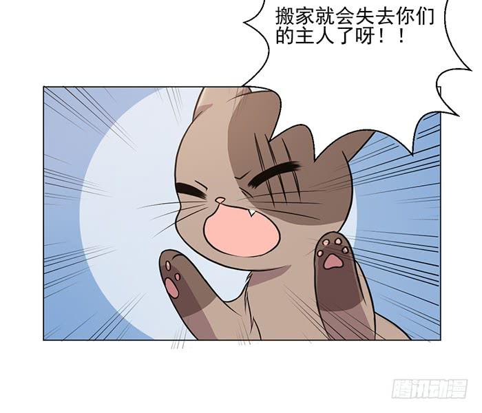 《双喵图腾》第039话 第46页