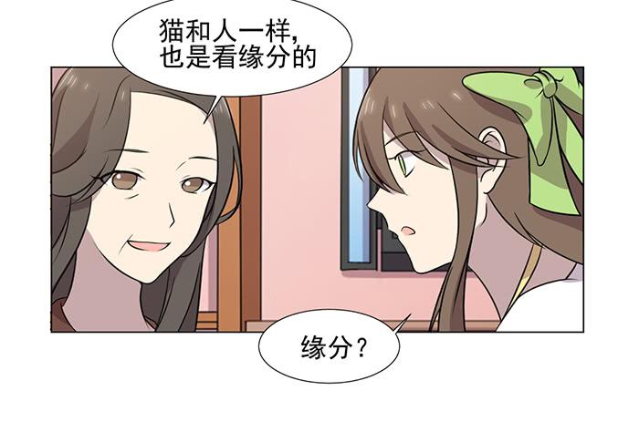 《双喵图腾》第039话 第50页