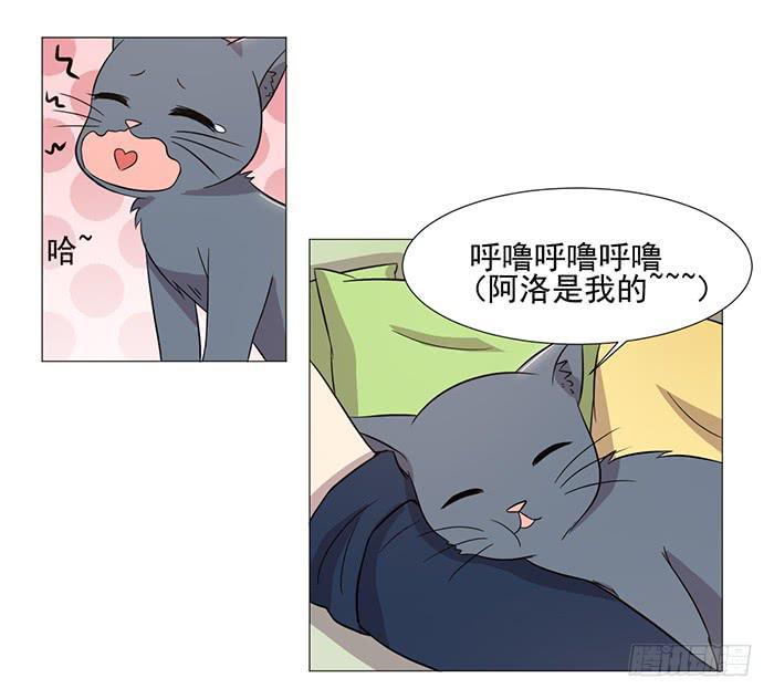 《双喵图腾》第038话 第11页