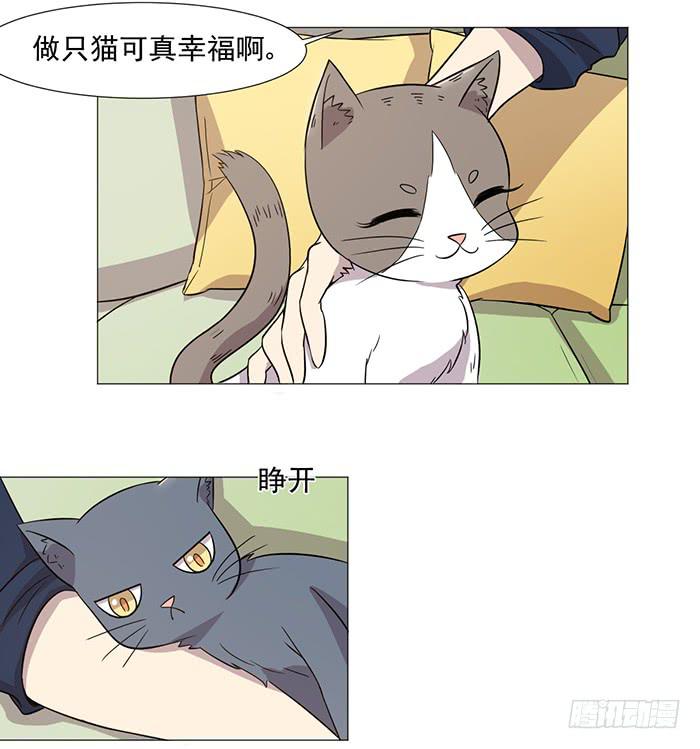 《双喵图腾》第038话 第13页