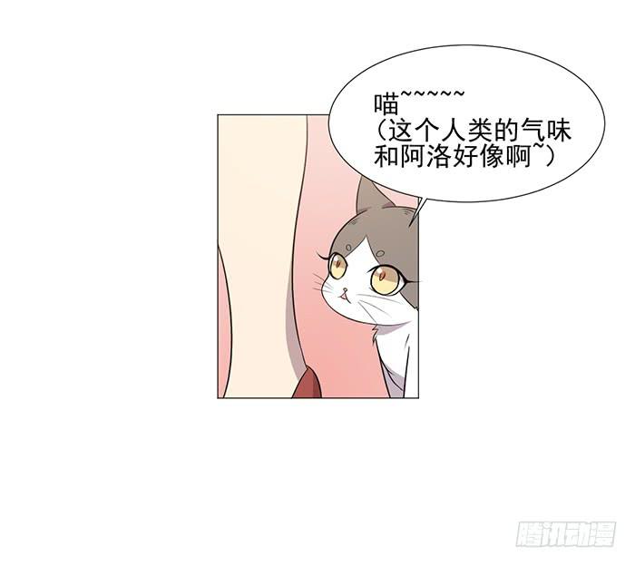 《双喵图腾》第038话 第31页