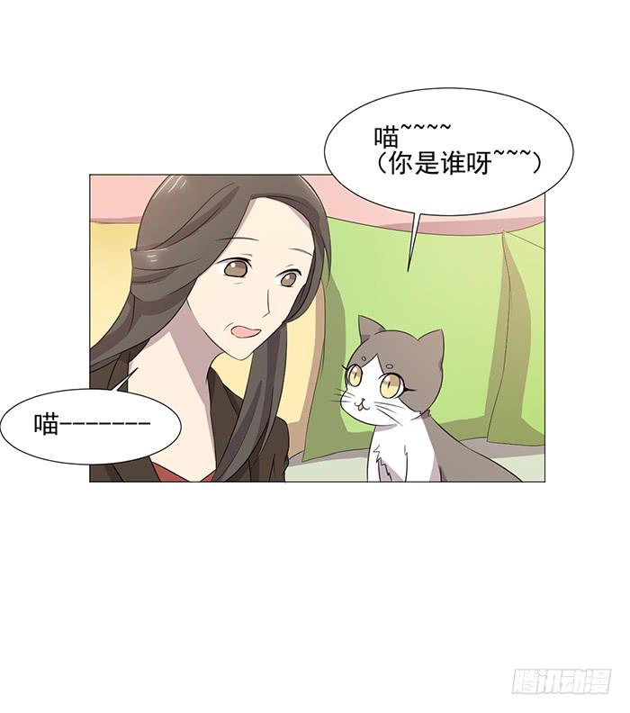 《双喵图腾》第038话 第35页