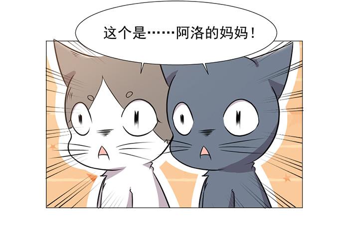 《双喵图腾》第038话 第36页