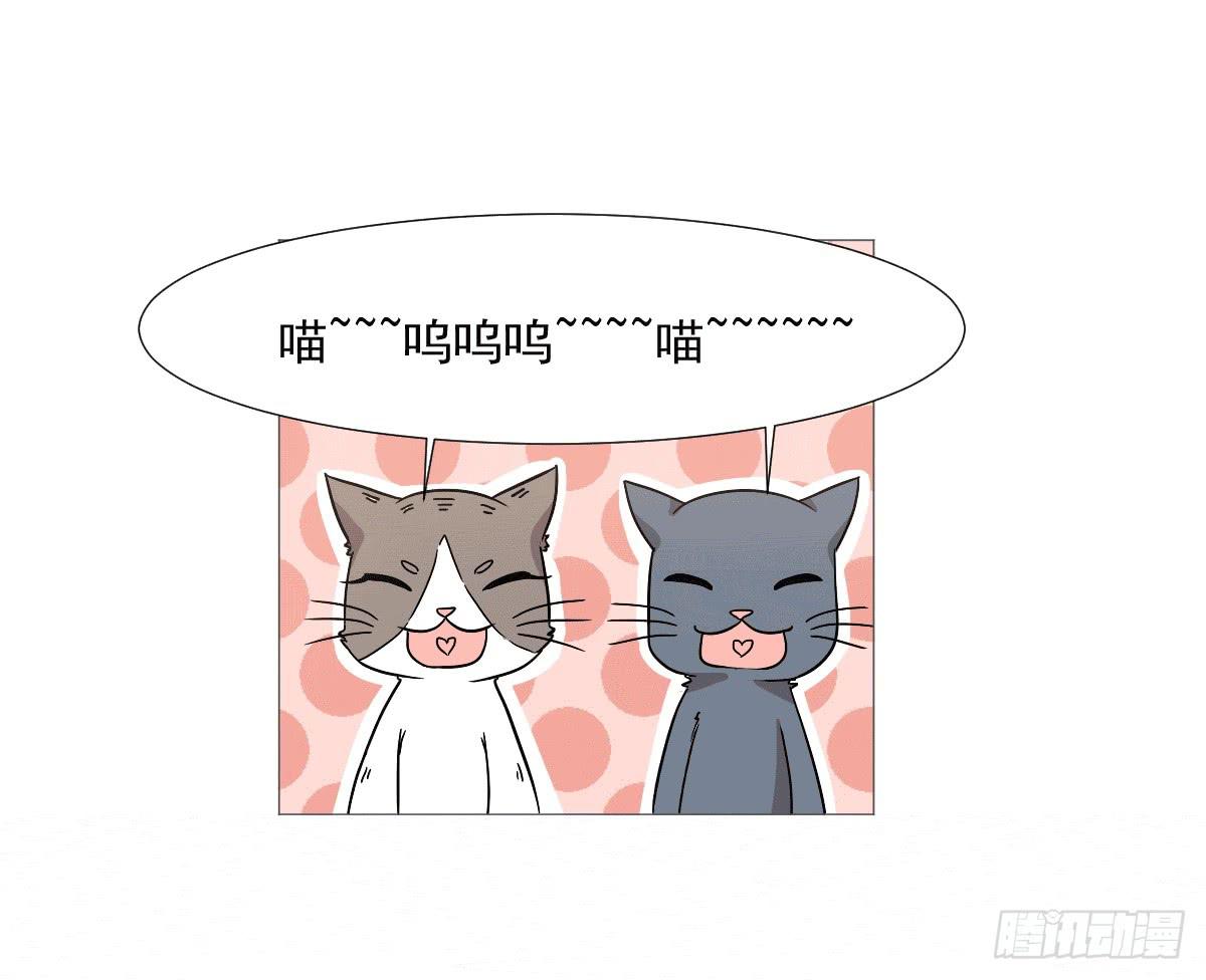 《双喵图腾》第038话 第42页