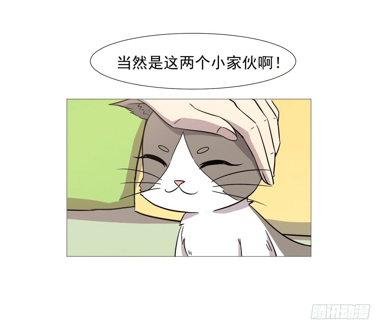 《双喵图腾》第038话 第45页
