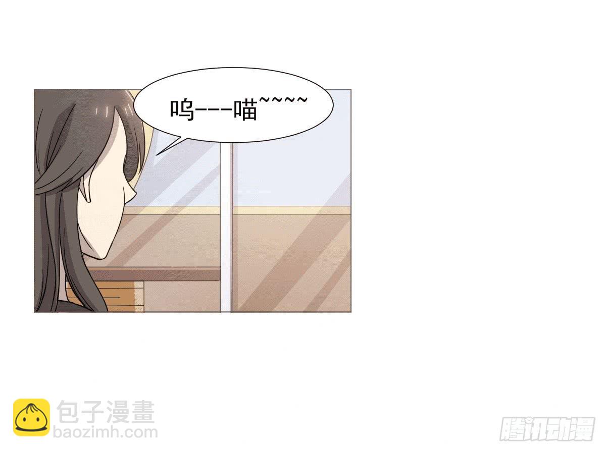 《双喵图腾》第038话 第49页