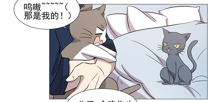 《双喵图腾》第037话 第43页