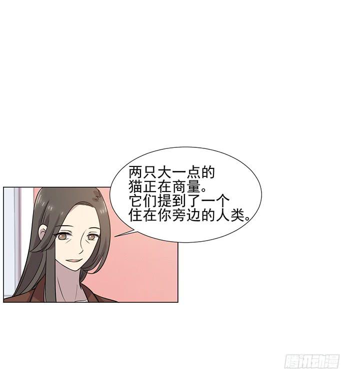 《双喵图腾》第040话 第11页
