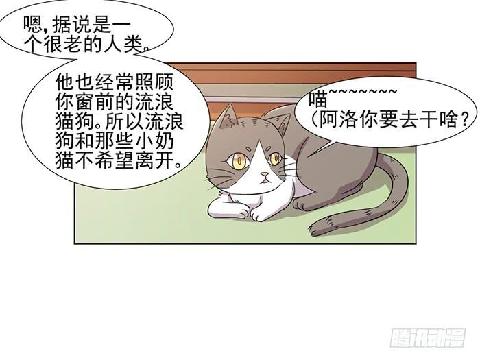 《双喵图腾》第040话 第13页