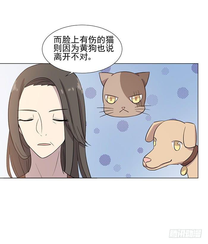 《双喵图腾》第040话 第16页